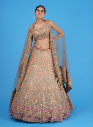 Light Brown Floral Embroidered Net A Line Choli Suit