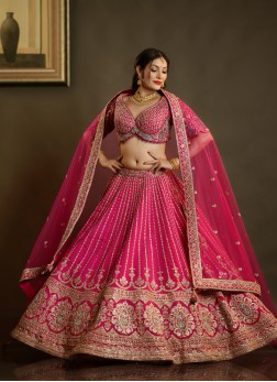 Rani Hand Embroidered Bridal Lehenga Choli With Ne