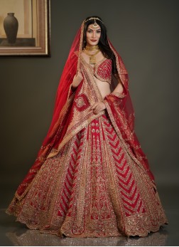 Red Wedding Wear Hand Embroidered Lehenga Choli Wi