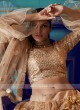 Net Sequins Work Lehenga Choli