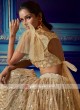 Sequins Work Net Lehenga Choli