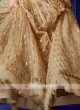 Sequins Work Net Lehenga Choli