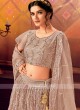 Net Lehenga Choli In Beige