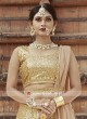 Embroidered Lehenga in Beige