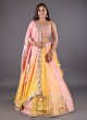 Designer Multi Color Lehenga Choli