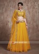 Unstitched Mirror Work Lehenga Choli