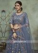 Grey Soft Net Lehenga Choli