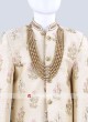 Charming Golden Cream Kids indo Western