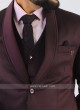 Wine Imported Party Wear Suit