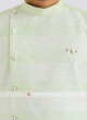 Linen Light Pista Kurta