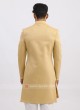 Silk Golden Color Indo Western