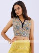 Lucknowi Work Lehenga Choli