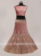 Dark Peach Velvet Lehenga Choli