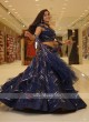 Blue Color Net Choli Suit