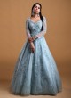 Sky Blue Net Designer Gown