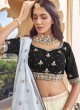 Designer Embroiderd Lehenga Choli For Wedding