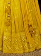 Designer Lucknowi Work Lehenga Choli