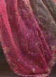 Organza Saree In Shaded Color