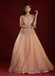 Attractive Peach Color Net Gown