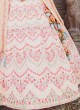 Light Peach Designer Lehenga Choli