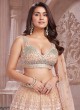 Gorgeous Net Embroidered Lehenga Choli With Dupatta