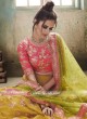 Traditional Embroidered Lehenga Choli