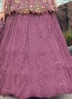 Onion Pink Festive A Line Lehenga Choli