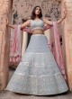 Light Grey Sequins Embroidered Lehenga Choli