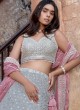 Light Grey Sequins Embroidered Lehenga Choli