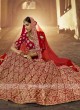 Beautiful Velvet Lehenga Choli In Red