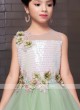 Beautiful Light Green Color Gown For Girls