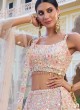 Exclusive Light Peach Floral Patch Embroidered Lehenga Choli