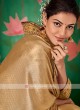 Dark Beige Color Saree