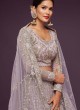 Lilac Designer Soft Net Embroidered Lehenga Choli