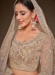 Beige Soft Net Embroidered Lehenga Choli