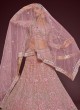 Light Pink Soft Net Embroidered Lehenga Choli