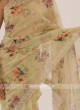 Light Olive Green Oragnaza Saree