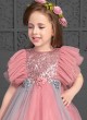 Pink And Grey Two Tone Color Designer Gown