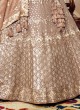 Gorgeous Gold Color Lehenga Choli With Beautiful Sequins