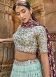 Sequins Work Georgette Fabric lehenga Choli