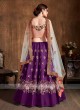 Elegant Raw Silk Lehenga Choli