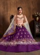 Elegant Raw Silk Lehenga Choli