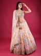 Wedding Wear Net Lehenga Choli In Peach Color