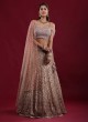 Sequins Work Beige Color Net Lehenga Choli