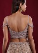 Sequins Work Beige Color Net Lehenga Choli