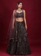 Chiffon Lucknowi Work Lehenga Choli