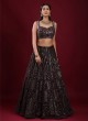 Chiffon Lucknowi Work Lehenga Choli