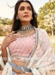 Lehenga Choli in Grey And Peach