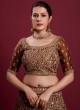 Elegant Brown Sequins Emebllished Net Lehenga Choli