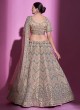 Beige Silk Designer Mirror Embellished Lehenga Choli